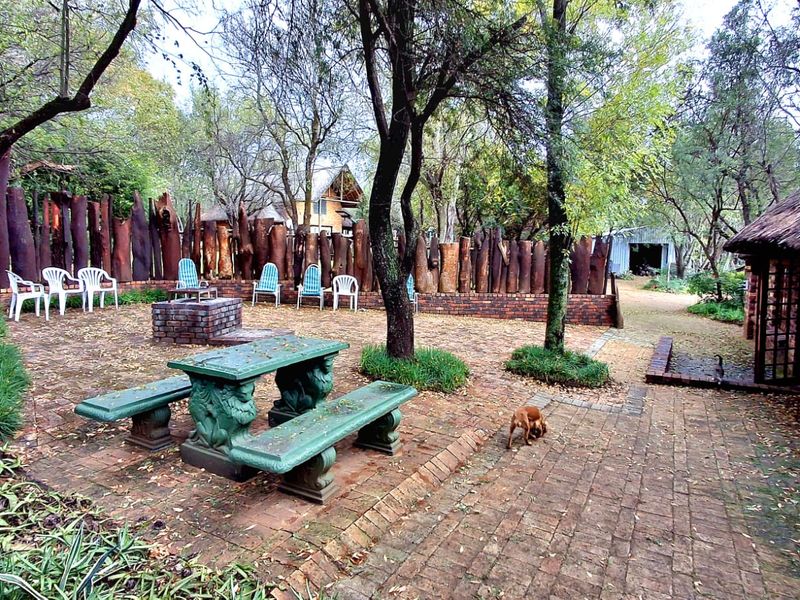 4 Homes on One Stand – Prime Vaal River Investment Opportunity - Photo 3