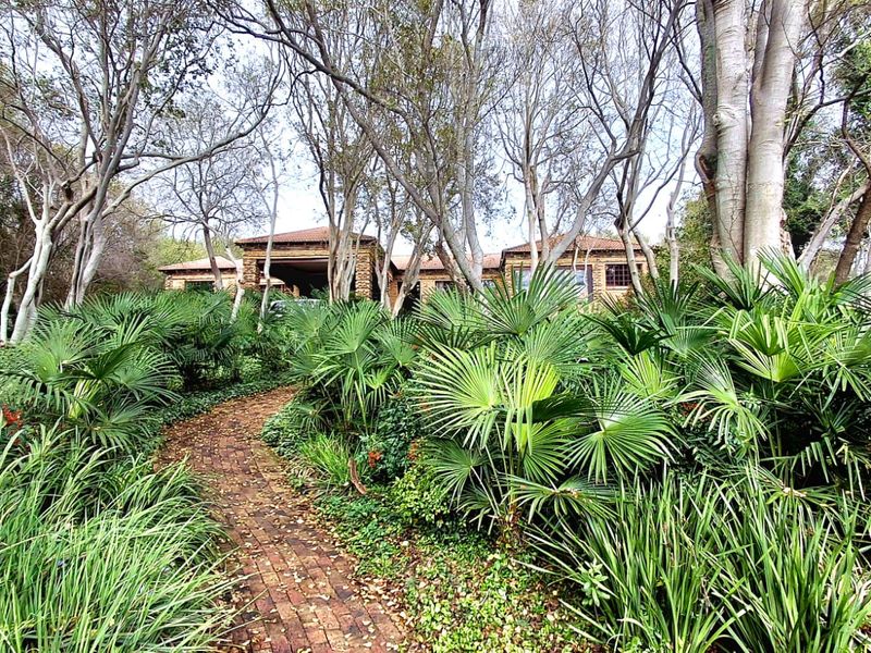 4 Homes on One Stand – Prime Vaal River Investment Opportunity - Photo 6