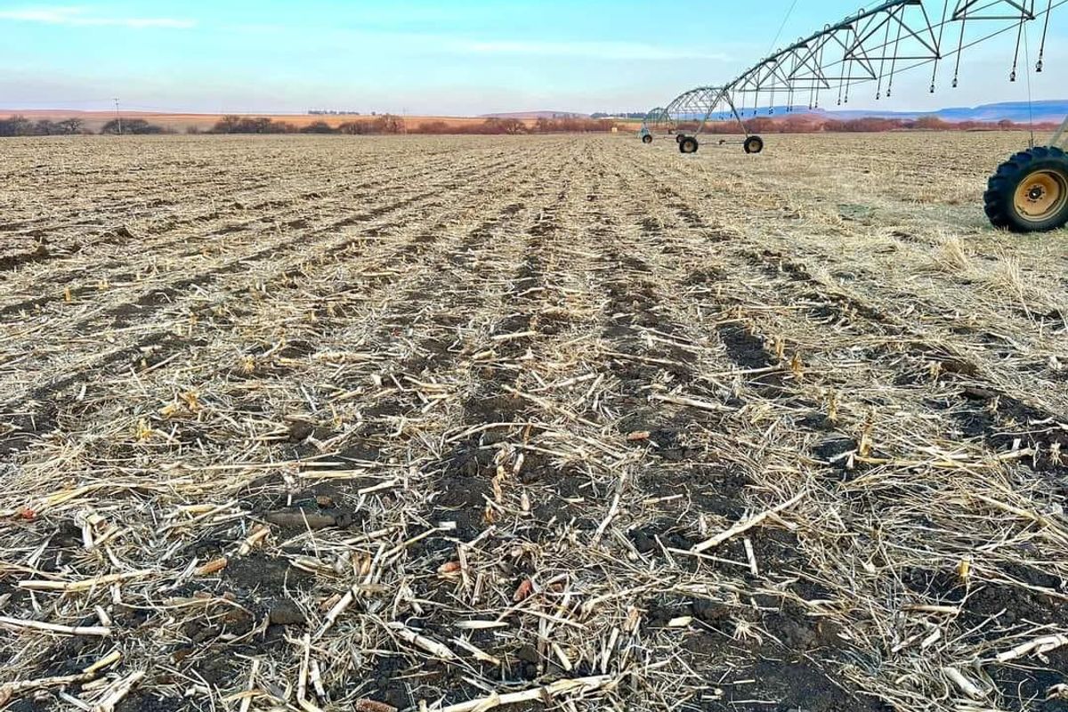 MULTI-FARM AGRICULTURAL INVESTMENT PORTFOLIO - Photo 5