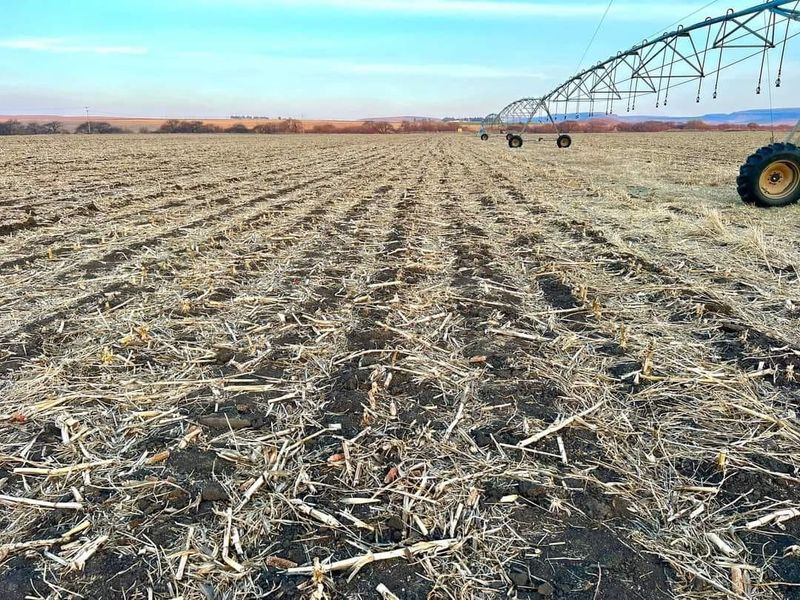 MULTI-FARM AGRICULTURAL INVESTMENT PORTFOLIO - Photo 5