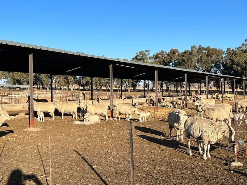 MULTI-FARM AGRICULTURAL INVESTMENT PORTFOLIO - Photo 9