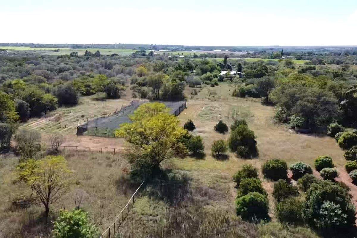 Farm for SALE:   Pristine 8.56Ha Lifestyle Estate in Vastfontein - Photo 5