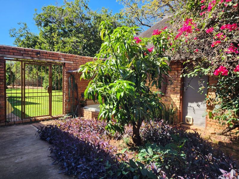 A private rear courtyard area featuring a brick boundary wall, metal security gate, and a section of thatched roofing with established garden landscaping.