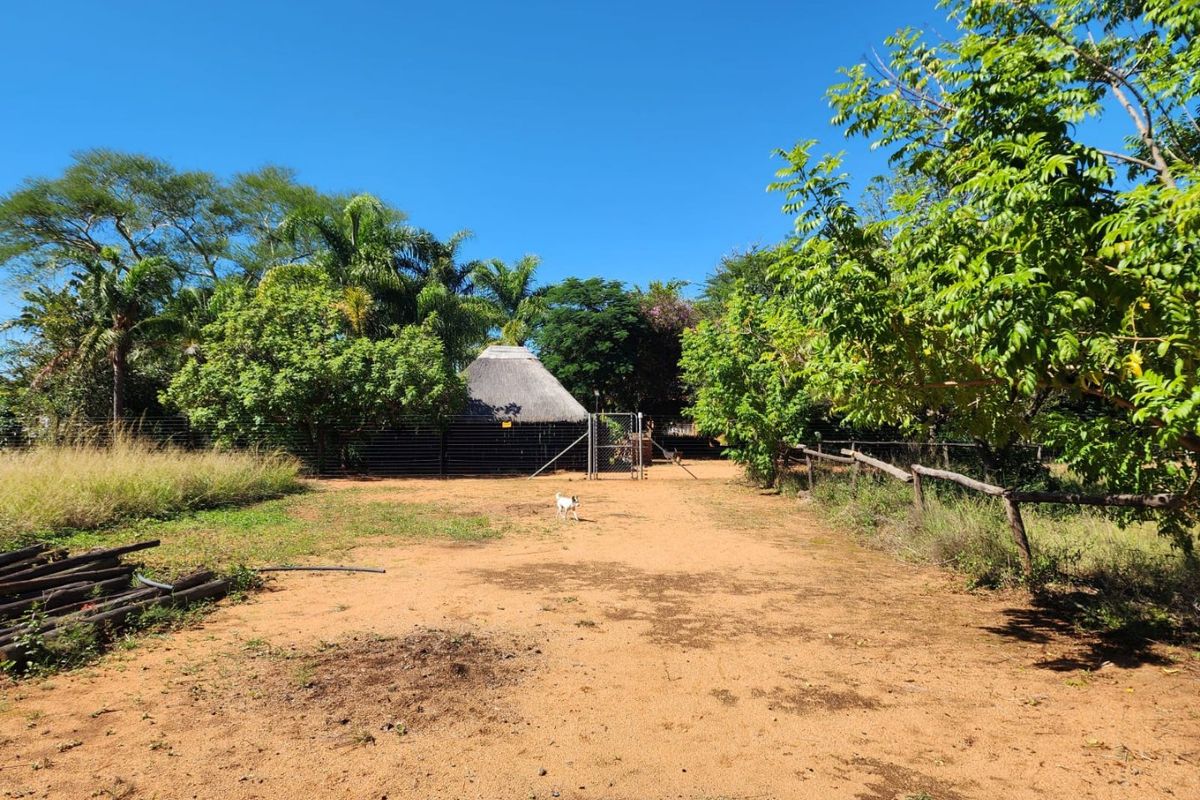 A view of the farm grounds featuring a thatched roof structure, wire fencing, and mature trees under a clear blue sky.