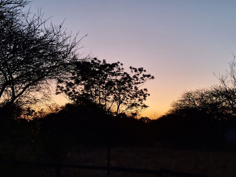 A scenic view of the farm landscape at sunset, showcasing the natural beauty and tranquil atmosphere of the property.