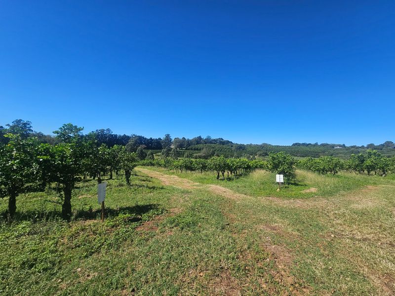 Build A Dream Home Off The Grid On A Beautiful Farm - Photo 10