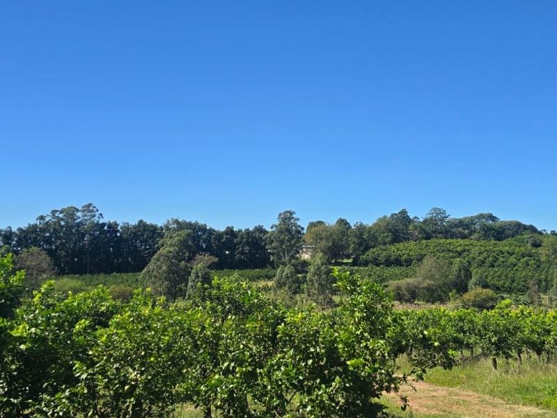 Build A Dream Home Off The Grid On A Beautiful Farm - Photo 1