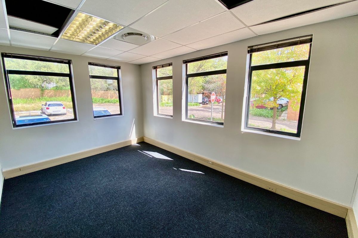 A bright, empty office space featuring large windows, carpeted flooring, and a suspended ceiling with recessed lighting.