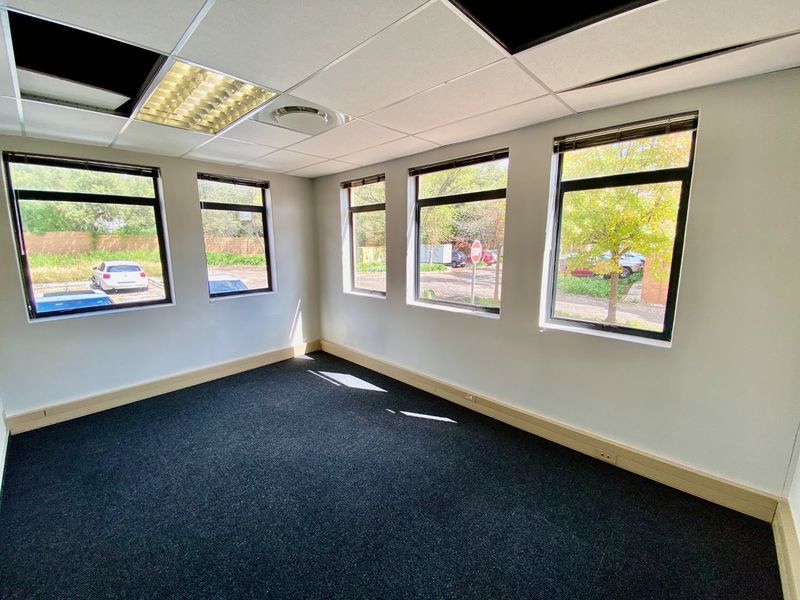 A bright, empty office space featuring large windows, carpeted flooring, and a suspended ceiling with recessed lighting.