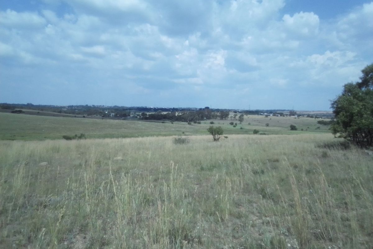 TWENTY HECTARES VACANT LAND FOR RENTAL - Photo 3