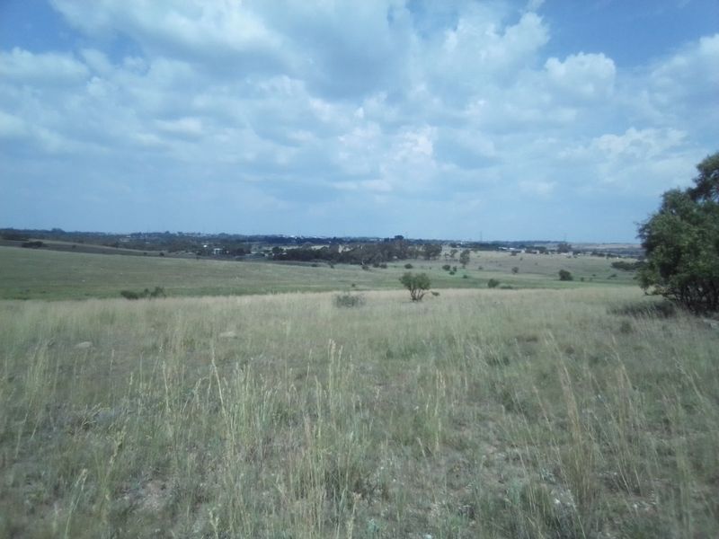 TWENTY HECTARES VACANT LAND FOR RENTAL - Photo 3