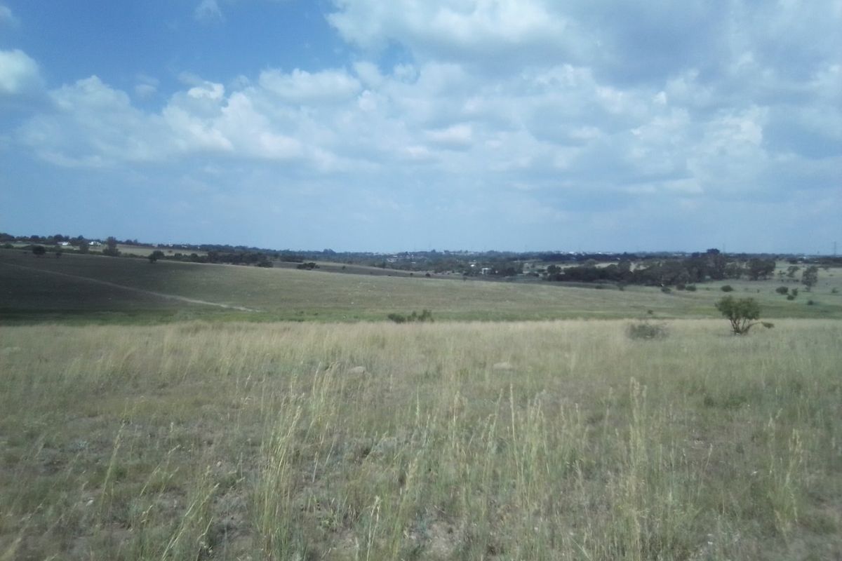 TWENTY HECTARES VACANT LAND FOR RENTAL - Photo 2