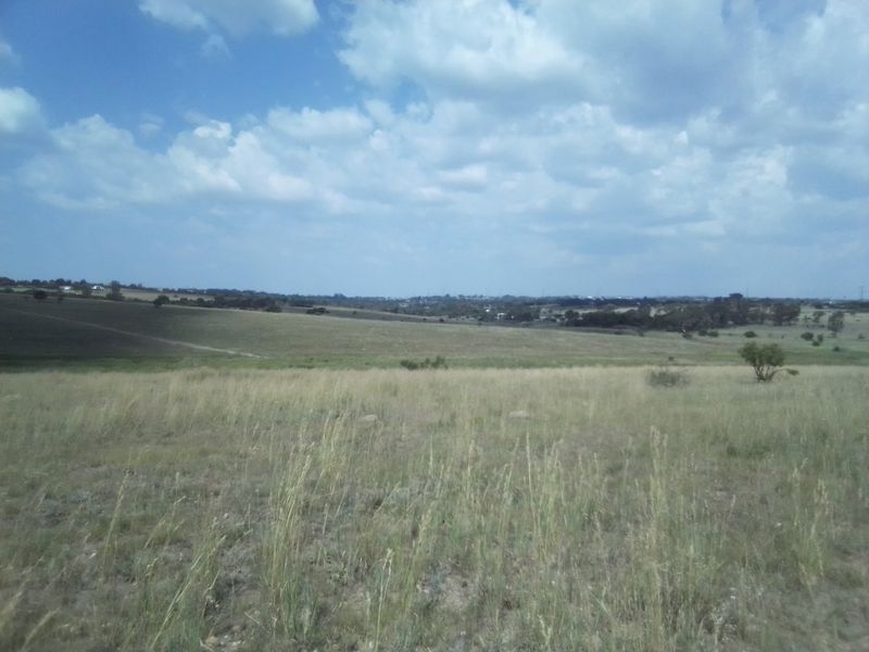 TWENTY HECTARES VACANT LAND FOR RENTAL - Photo 2
