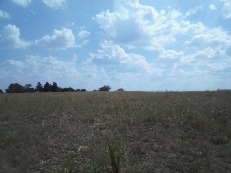 TWENTY HECTARES VACANT LAND FOR RENTAL - Photo 10