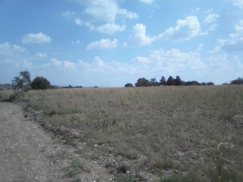 TWENTY HECTARES VACANT LAND FOR RENTAL - Photo 9