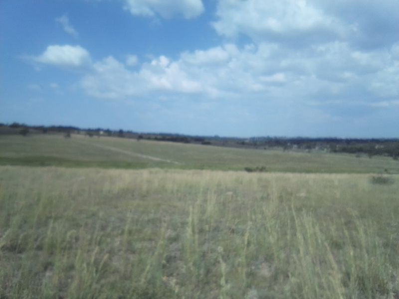TWENTY HECTARES VACANT LAND FOR RENTAL - Photo 8