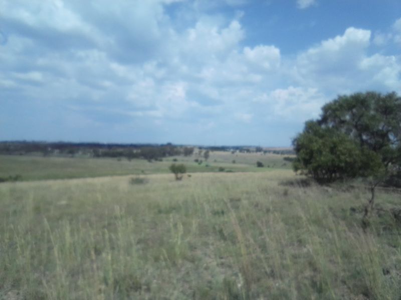 TWENTY HECTARES VACANT LAND FOR RENTAL - Photo 7