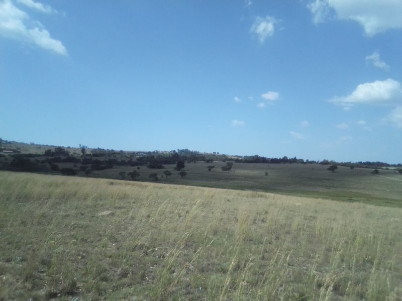 TWENTY HECTARES VACANT LAND FOR RENTAL - Photo 6