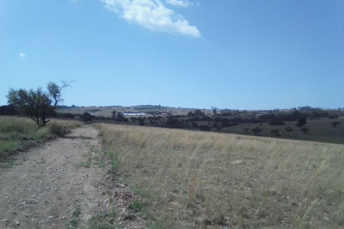 TWENTY HECTARES VACANT LAND FOR RENTAL - Photo 5