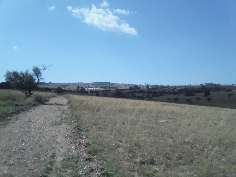 TWENTY HECTARES VACANT LAND FOR RENTAL - Photo 5