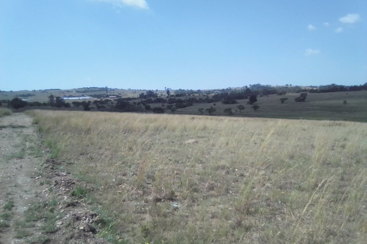 TWENTY HECTARES VACANT LAND FOR RENTAL - Photo 4