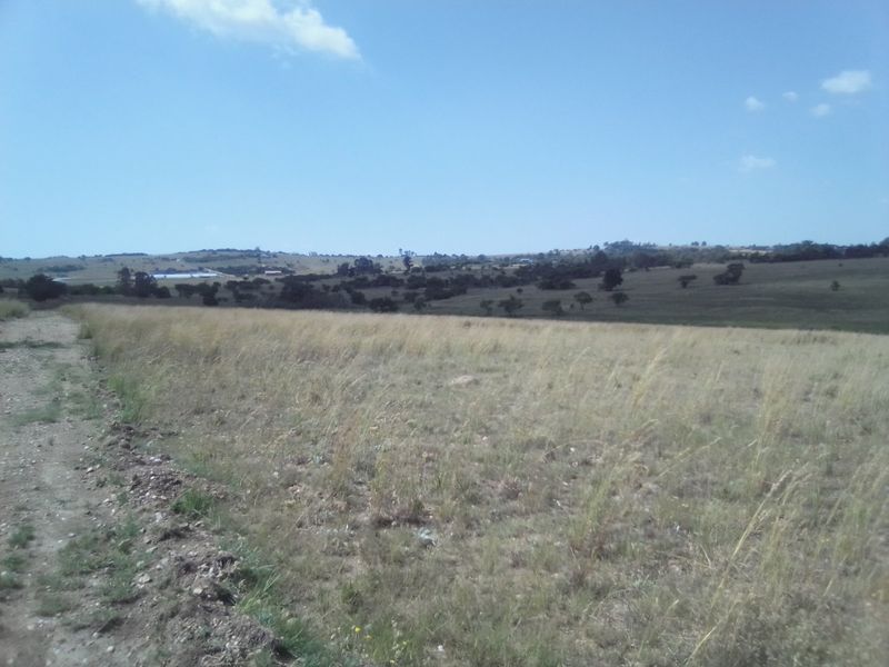 TWENTY HECTARES VACANT LAND FOR RENTAL - Photo 4