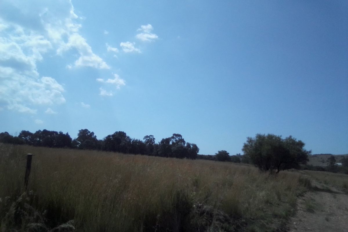 40 HECTARES VACANT AGRICULTURE PROPERTY FOR RENTAL - Photo 4