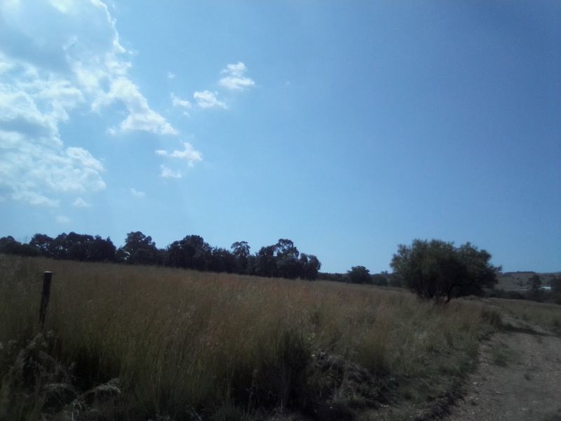 40 HECTARES VACANT AGRICULTURE PROPERTY FOR RENTAL - Photo 4