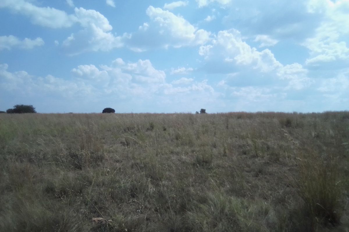 40 HECTARES VACANT AGRICULTURE PROPERTY FOR RENTAL - Photo 2