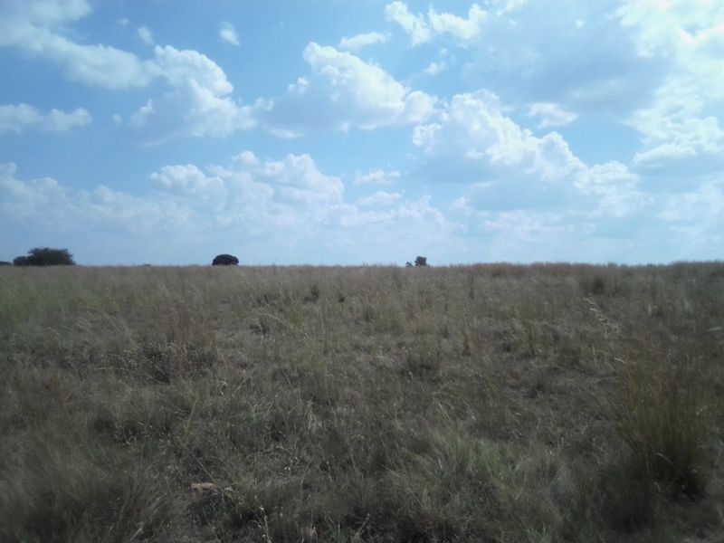 40 HECTARES VACANT AGRICULTURE PROPERTY FOR RENTAL - Photo 2