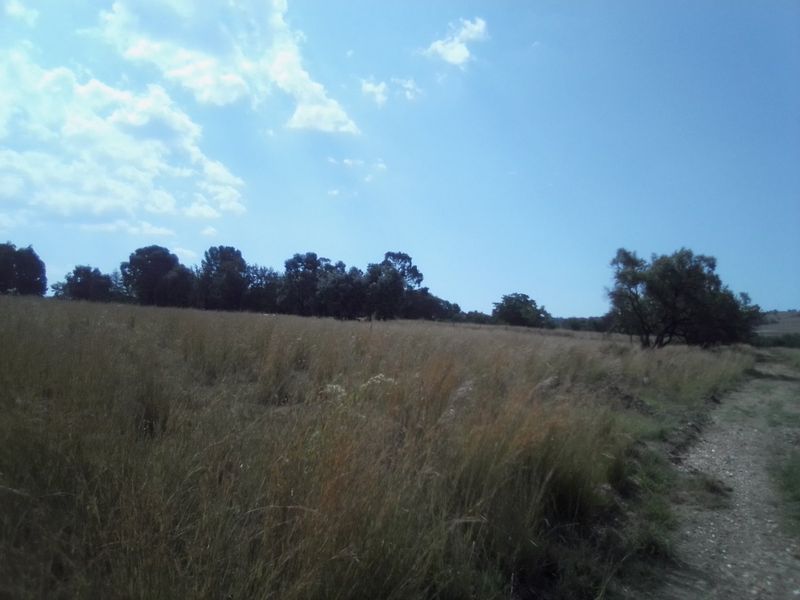 40 HECTARES VACANT AGRICULTURE PROPERTY FOR RENTAL - Photo 9
