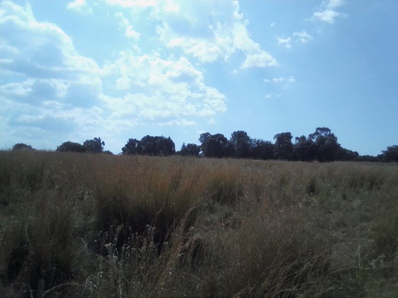 40 HECTARES VACANT AGRICULTURE PROPERTY FOR RENTAL - Photo 8