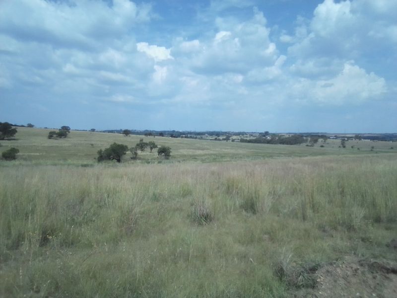 40 HECTARES VACANT AGRICULTURE PROPERTY FOR RENTAL - Photo 10