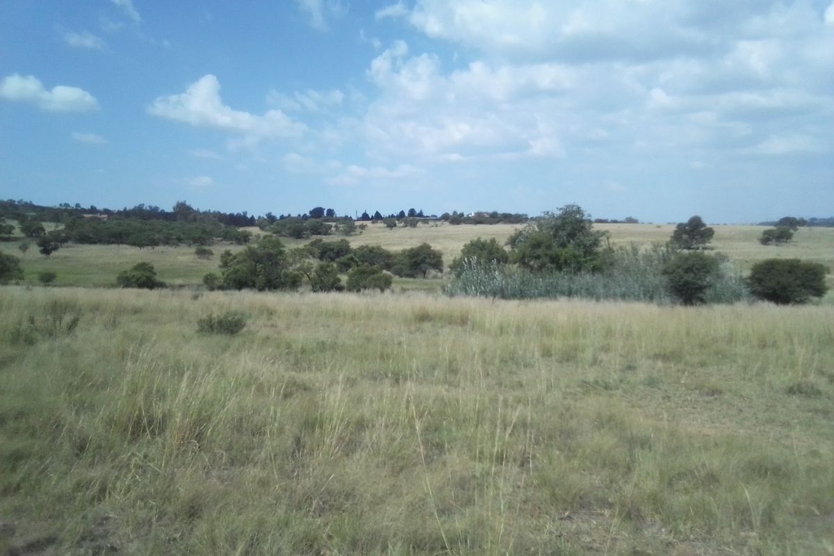 40 HECTARES VACANT AGRICULTURE PROPERTY FOR RENTAL - Photo 5