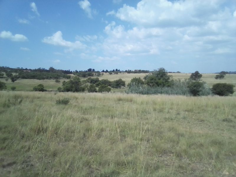 40 HECTARES VACANT AGRICULTURE PROPERTY FOR RENTAL - Photo 5