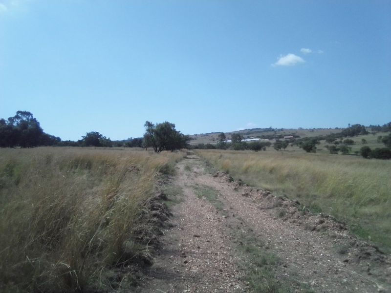 40 HECTARES VACANT AGRICULTURE PROPERTY FOR RENTAL - Photo 7