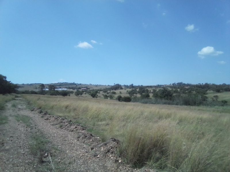 40 HECTARES VACANT AGRICULTURE PROPERTY FOR RENTAL - Photo 6