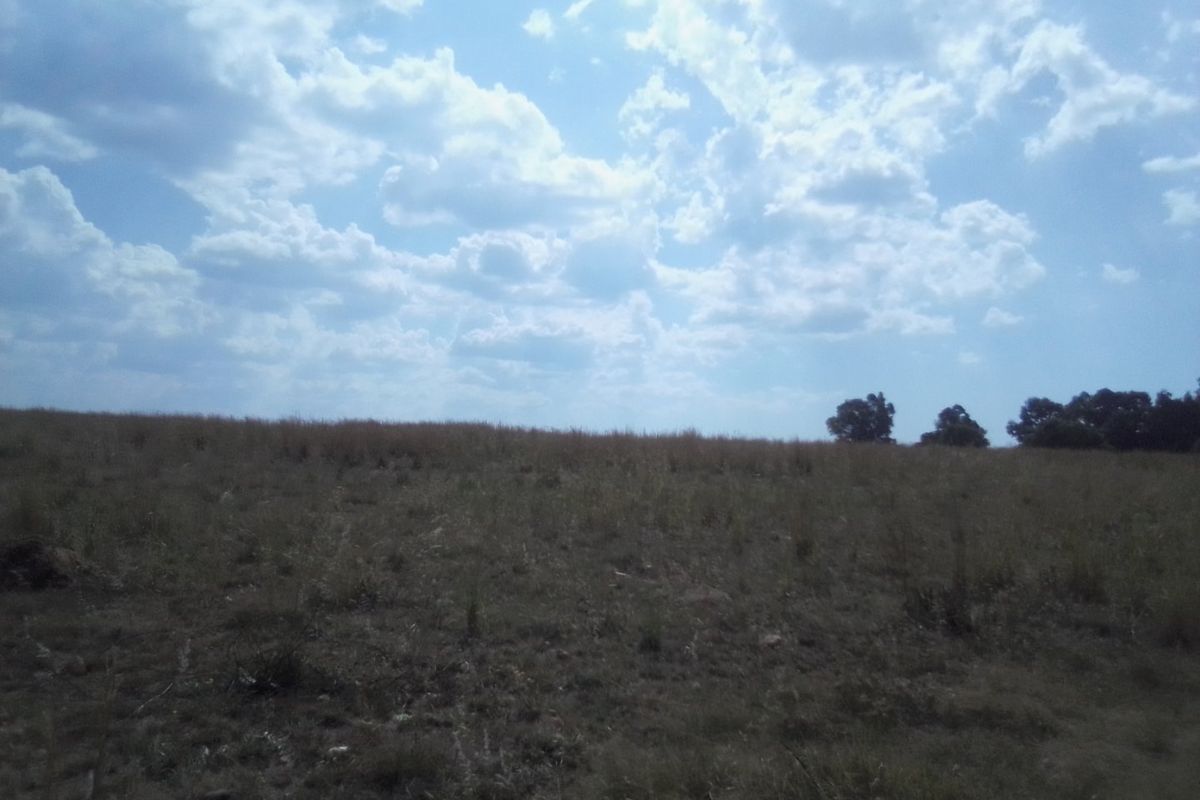 40 HECTARES VACANT AGRICULTURE PROPERTY FOR RENTAL - Photo 3
