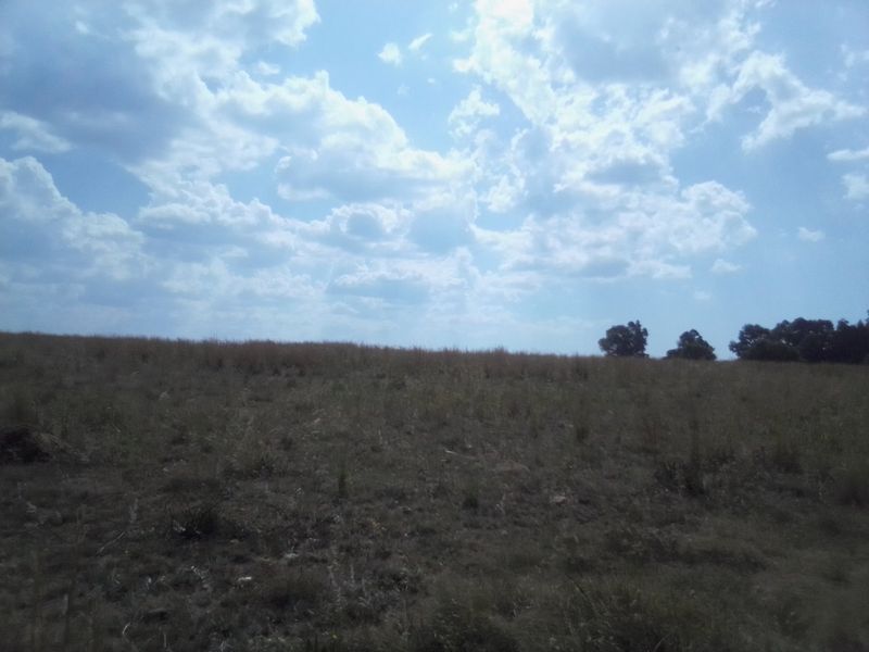40 HECTARES VACANT AGRICULTURE PROPERTY FOR RENTAL - Photo 3