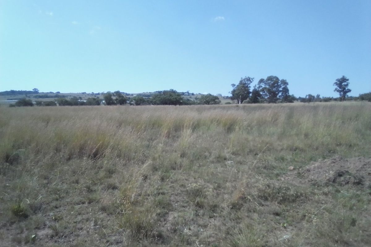 TEN HECTARES VACANT LAND FOR RENTAL - Photo 2