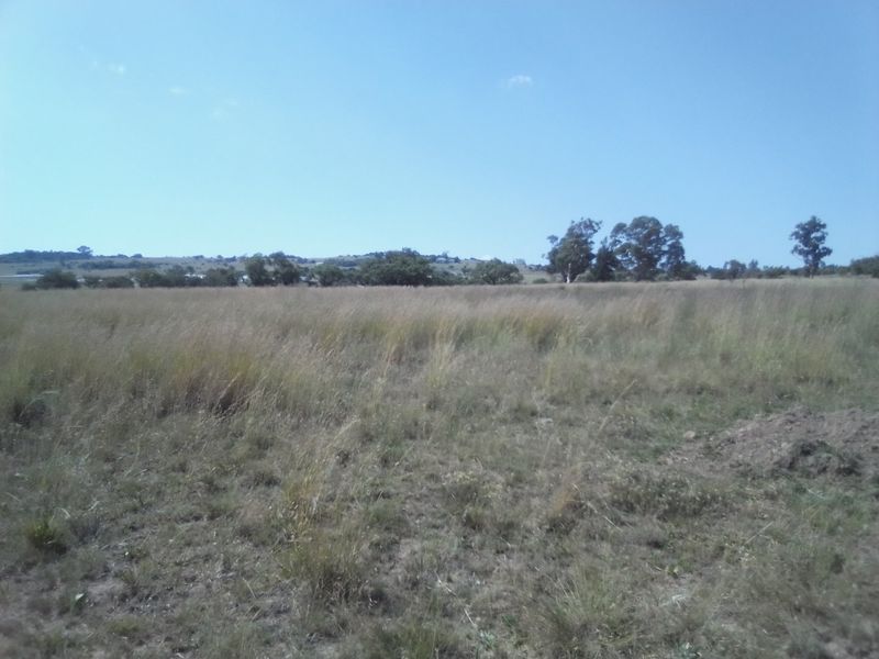 TEN HECTARES VACANT LAND FOR RENTAL - Photo 2