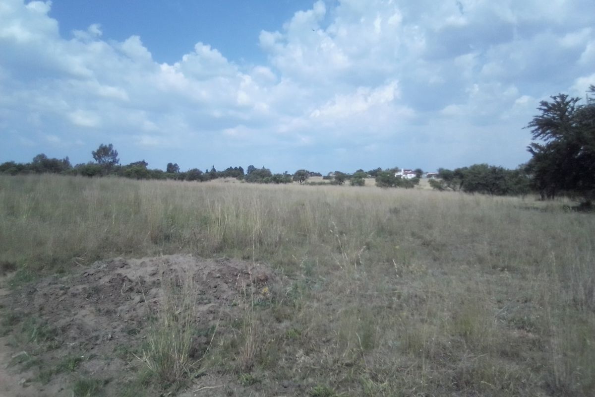 TEN HECTARES VACANT LAND FOR RENTAL - Photo 5