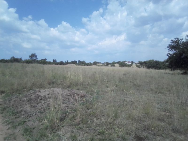 TEN HECTARES VACANT LAND FOR RENTAL - Photo 5