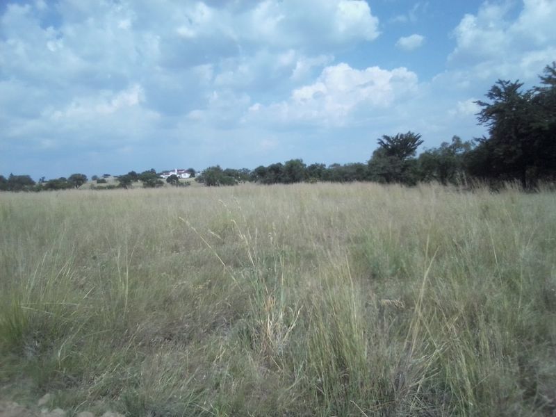 TEN HECTARES VACANT LAND FOR RENTAL - Photo 10