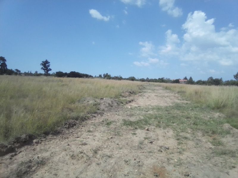 TEN HECTARES VACANT LAND FOR RENTAL - Photo 9