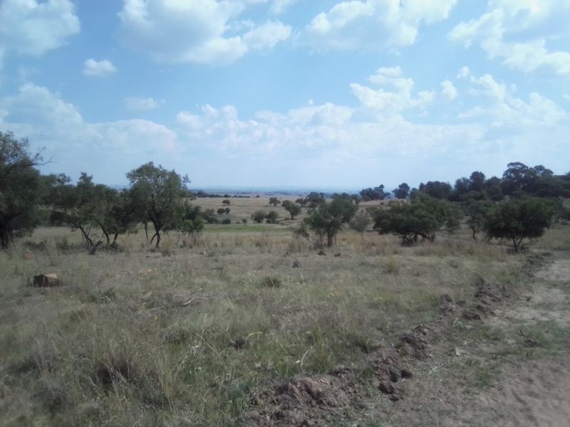 TEN HECTARES VACANT LAND FOR RENTAL - Photo 8