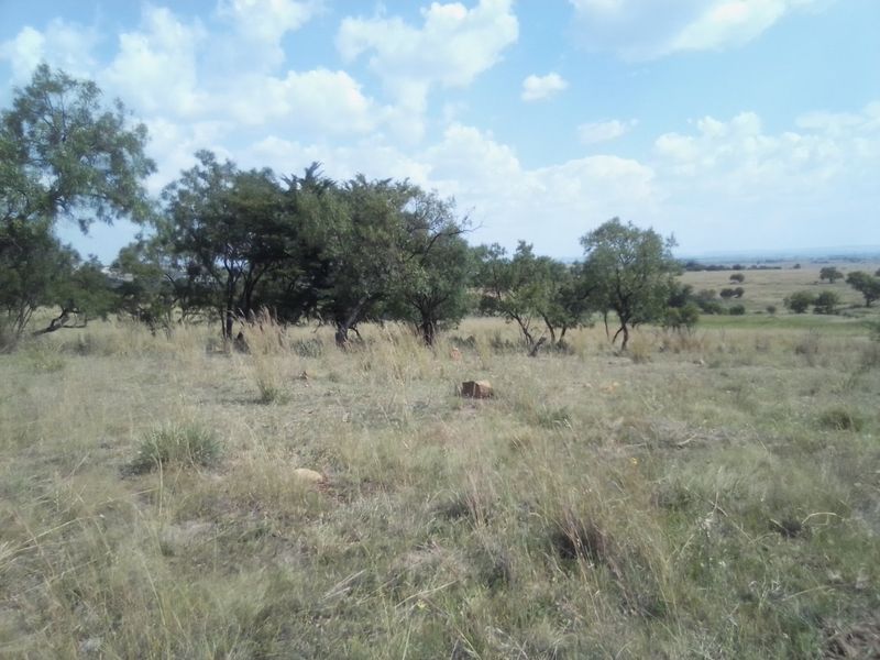 TEN HECTARES VACANT LAND FOR RENTAL - Photo 7