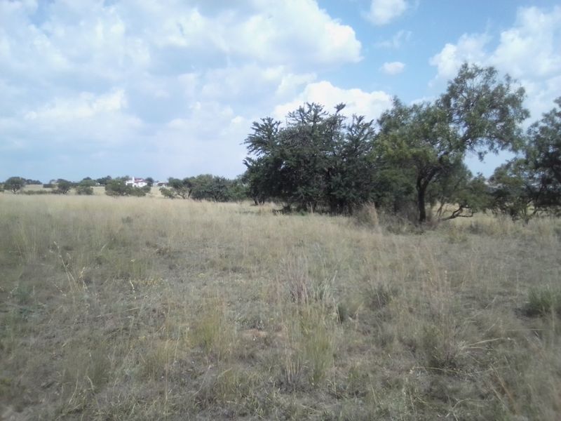 TEN HECTARES VACANT LAND FOR RENTAL - Photo 6
