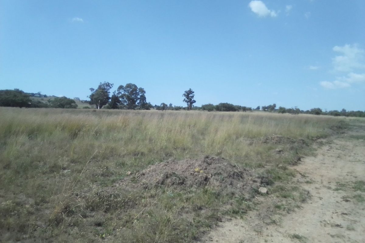 TEN HECTARES VACANT LAND FOR RENTAL - Photo 3