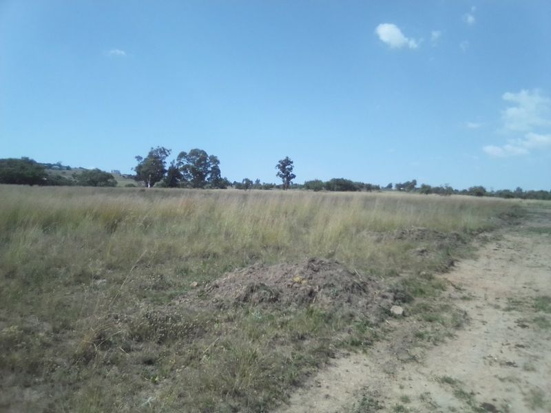 TEN HECTARES VACANT LAND FOR RENTAL - Photo 3